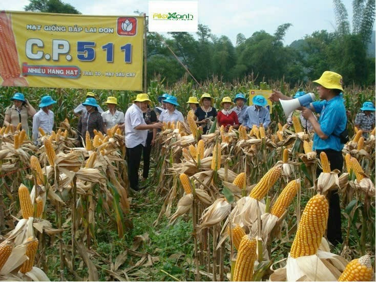 Phân tích dữ liệu và điều chỉnh chiến lược kinh doanh để quản lý cửa hàng vật tư nông nghiệp hiệu quả hơn